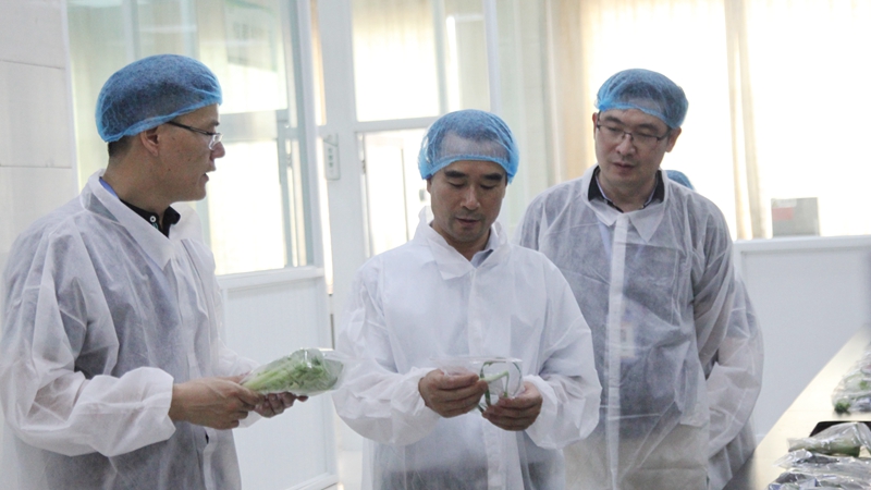 紹興市教育局、市場監(jiān)管局領(lǐng)導赴浙農(nóng)茂陽督查食品安全工作