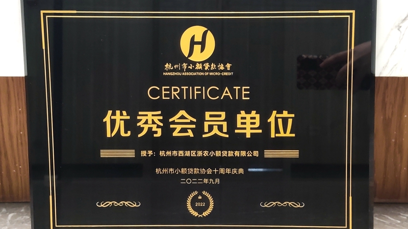 西湖小貸榮獲杭州市小貸協(xié)會(huì) &ldquo;優(yōu)秀會(huì)員單位&rdquo;稱號(hào)